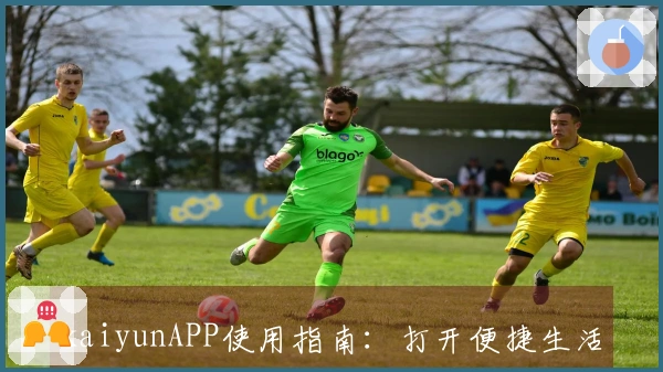 kaiyunAPP使用指南：打开便捷生活的官方入口与主要功能介绍